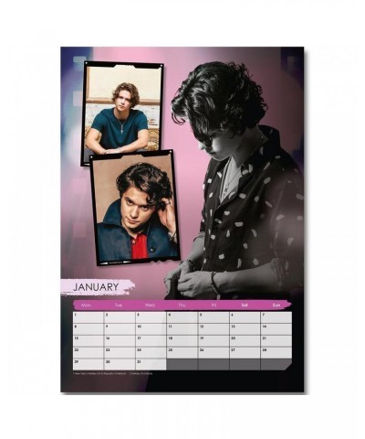 The Vamps 2018 Calendar $12.65 Calendars